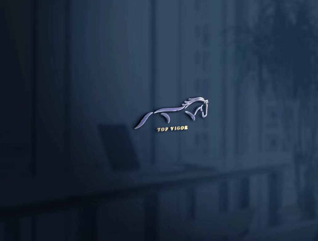 توب فيجور — هوية استشارات أعمال